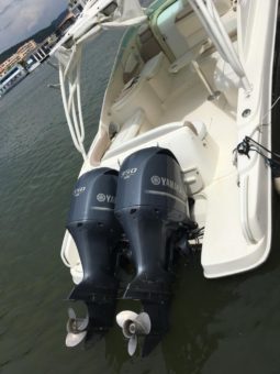 
										PROMARINE EXPRESS 34 full									