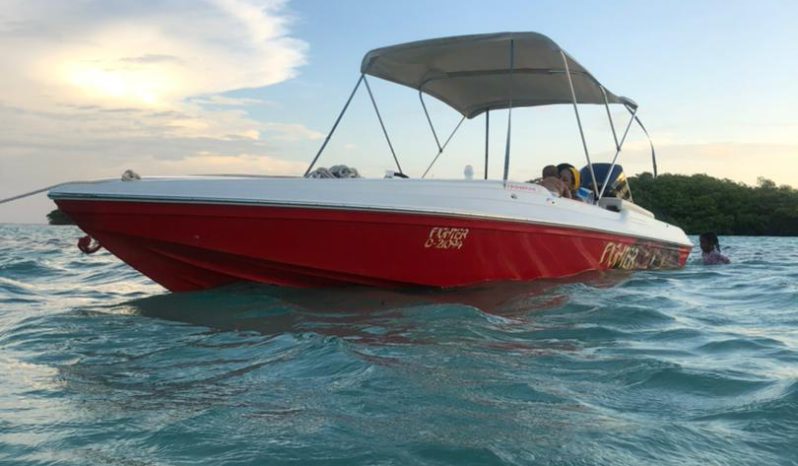 
								PROMARINE SPORT 21 full									