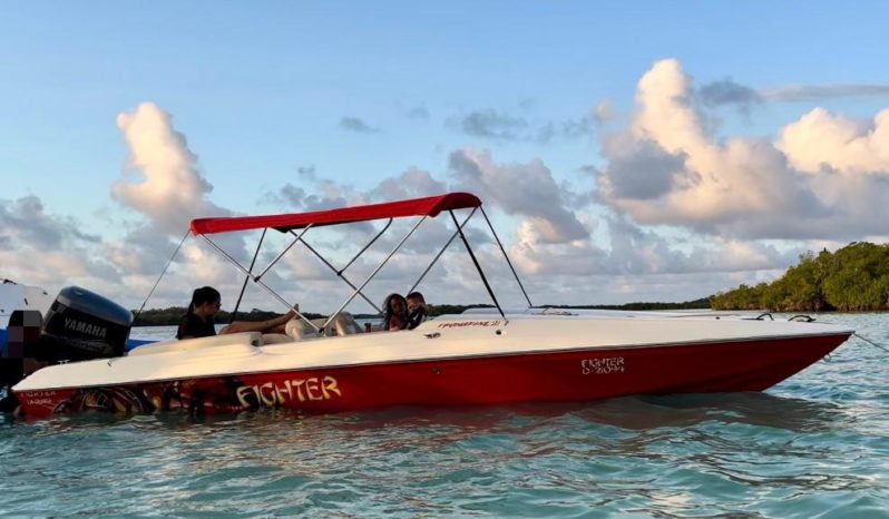 
								PROMARINE SPORT 21 full									