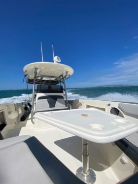 PROMARINE SPORT FISHING 33