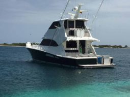 
										RIVIERA ENCLOSED SPORT FISHERMAN 60 full									