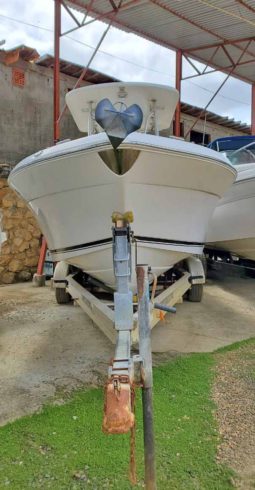 
										ROBALO 26 full									