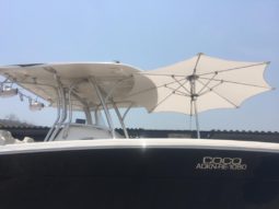 
										ROBALO 30 full									