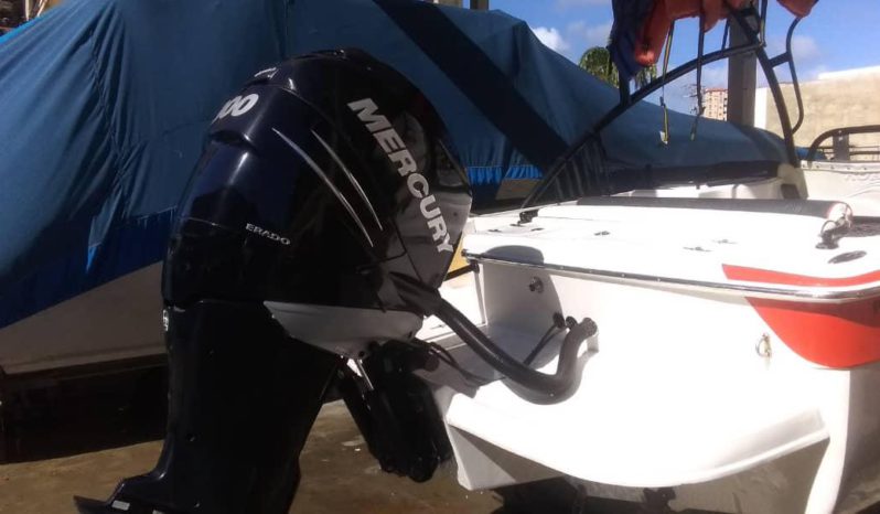 
								RUBHER MARINE ATLANTIS 24 full									