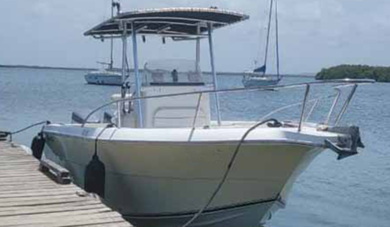 SEA FOX 26, VENTA DE SEA FOX 26, SEA FOX 26 DE TUCACAS