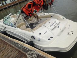 SEA RAY 23, VENTA DE SEA RAY 23, SEA RAY 23 DE TUCACAS