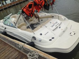 SEA RAY 23