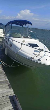 
								SEA RAY 24 full									