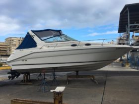 SEA RAY 290 31