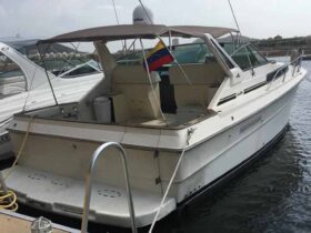 SEA RAY CRUISER EXPRESS 40