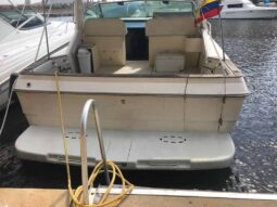 
										SEA RAY CRUISER EXPRESS 40 full									