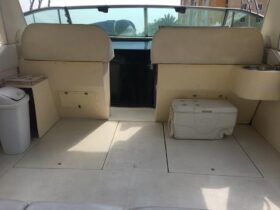 SEA RAY CRUISER EXPRESS 40