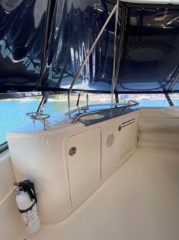 
										SEA RAY FLYBRIDGE 50 full									