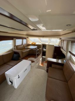 
										SEA RAY SEDAN BRIDGE 44 full									