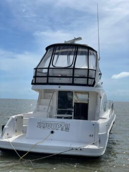 
										SEA RAY SEDAN BRIDGE 44 full									