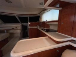 
										SEA RAY SEDAN BRIDGE 480 full									