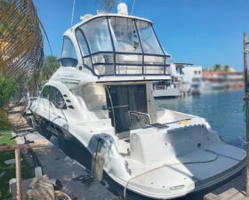 SEA RAY SEDAN BRIDGE 50