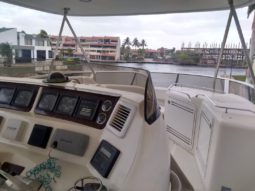 
										SEA RAY SEDAN BRIDGE 56 full									