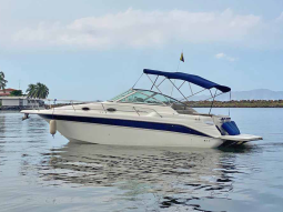 SEA RAY SUNDANCER 270, VENTA DE SEA RAY SUNDANCER 270, SEA RAY SUNDANCER 270 DE LECHERIA