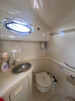 
										SEA RAY SUNDANCER 270 full									