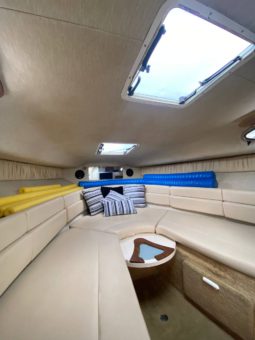 
										SEA RAY SUNDANCER 270 full									