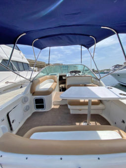 
										SEA RAY SUNDANCER 270 full									