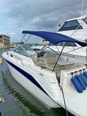 SEA RAY SUNDANCER 270