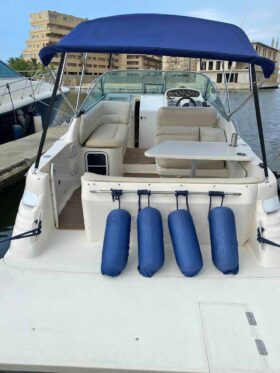 SEA RAY SUNDANCER 270