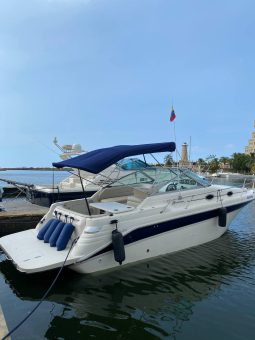 
										SEA RAY SUNDANCER 270 full									