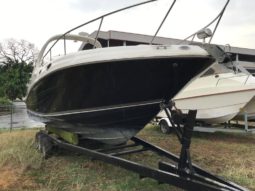 
										SEA RAY SUNDANCER 28 full									