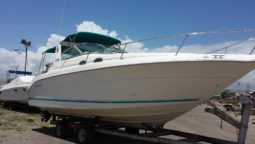 
										SEA RAY SUNDANCER 30 full									