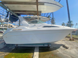 SEA RAY SUNDANCER 30, VENTA DE SEA RAY SUNDANCER 30, SEA RAY SUNDANCER 30 DE LECHERIA