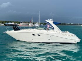 SEA RAY SUNDANCER 33