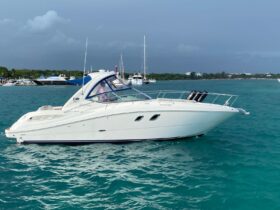 SEA RAY SUNDANCER 33