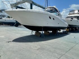 SEA RAY SUNDANCER 33