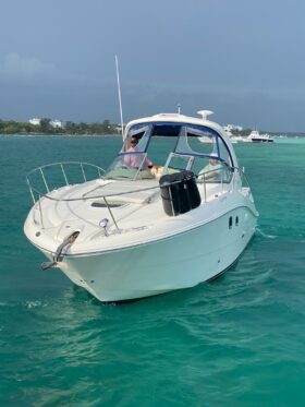 SEA RAY SUNDANCER 33