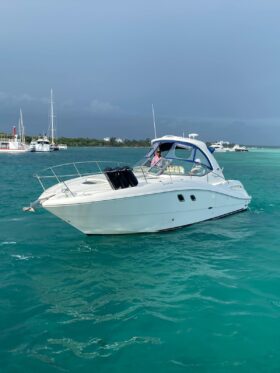 SEA RAY SUNDANCER 33