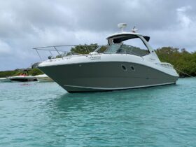 SEA RAY SUNDANCER 330 33