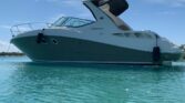 SEA RAY SUNDANCER 330 33, VENTA DE SEA RAY SUNDANCER 330 33, SEA RAY SUNDANCER 330 33 DE TUCACAS