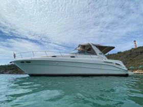 SEA RAY SUNDANCER 34