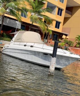 SEA RAY SUNDANCER 34