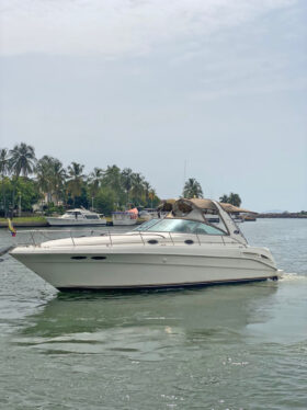 SEA RAY SUNDANCER 34