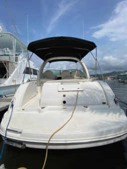 
										SEA RAY SUNDANCER 340 38 full									