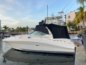 SEA RAY SUNDANCER 340