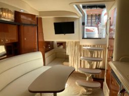 
										SEA RAY SUNDANCER 340 full									