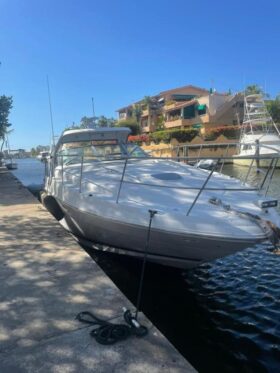 SEA RAY SUNDANCER 40