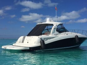 SEA RAY SUNDANCER 41