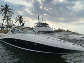 SEA RAY SUNDANCER 44