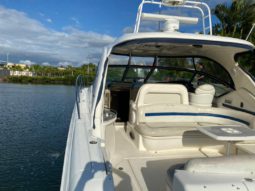 
										SEA RAY SUNDANCER 45 full									