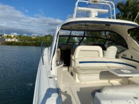 SEA RAY SUNDANCER 45